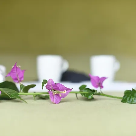 Degli Argentieri מלון