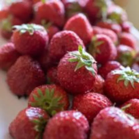 מלון Degli Argentieri