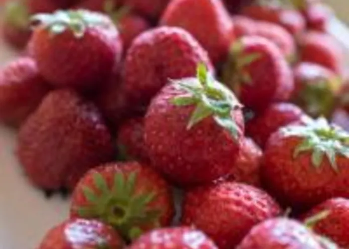 Hotel La Degli Argentieri